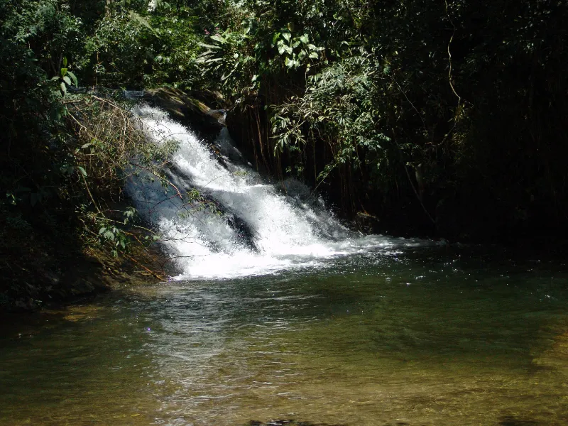 Centro de Treinamento Gear Tips - Natureza que Ensina